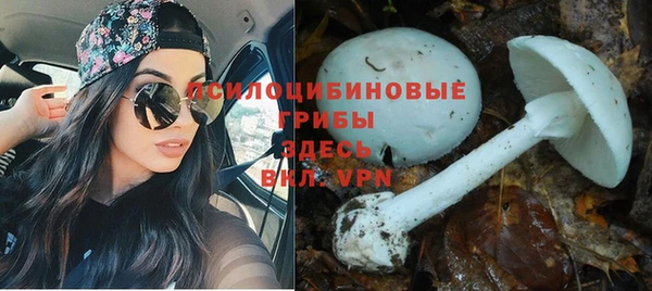 скорость mdpv Тихвин