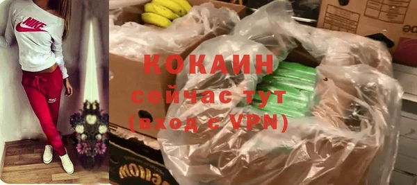 гидра Верея