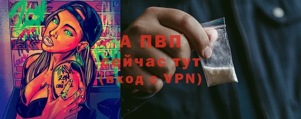 гидра Верея